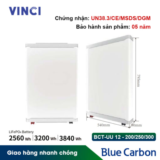 Pin lưu trữ Blue Carbon BCT-UU 12-300 3.84 kWh